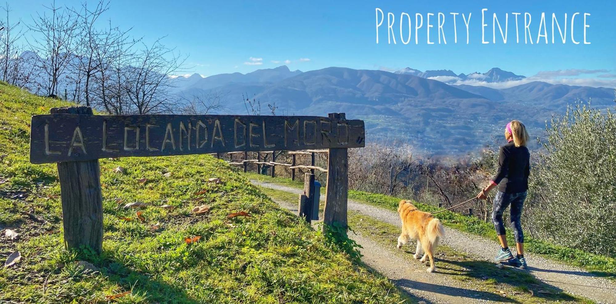 La Locanda Del Moro Пьеве-Фошиана Экстерьер фото